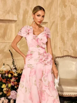 Dresses|Maxi Dresses*Mew Mews Alayja Flower Printed Mesh Maxi Dress