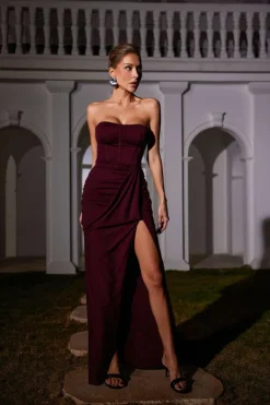 Dresses|Maxi Dresses*Mew Mews Fashion Carew Strapless Ruched Dress In Brown