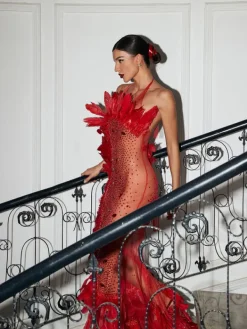 Embellishment|Dresses*Embellishment Circe Embellished Mesh Feather Maxi Dress In Red