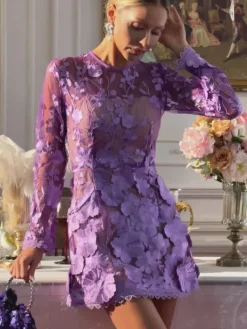 Dresses|Mini Dresses*Mew Mews Fashion Dallan Long Sleeve Floral Embroidered Mini Dress