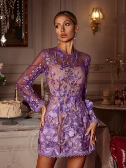 Dresses|Mini Dresses*Mew Mews Fashion Dallan Long Sleeve Floral Embroidered Mini Dress