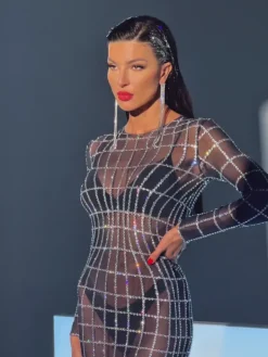 Embellishment|Dresses*Embellishment Luan Long Sleeve Net Rhinestone Mesh Dress