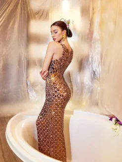 Embellishment|Dresses*Embellishment Luka Acrylic Embellished Mesh Maxi Dress