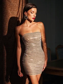 Embellishment|Dresses*Embellishment Ridley Rhinestone Mesh Mini Dress