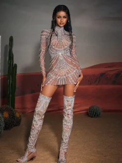 Embellishment|Dresses*Embellishment Ruben Long Sleeve Embellished Mesh Mini Dress
