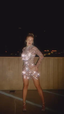 Embellishment|Dresses*Embellishment Ruben Long Sleeve Embellished Mesh Mini Dress