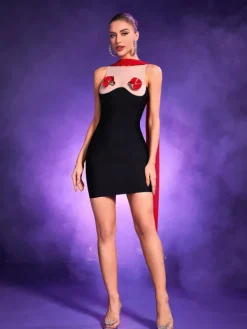 Dresses*Bandage Ryland Mesh Embellished Dress
