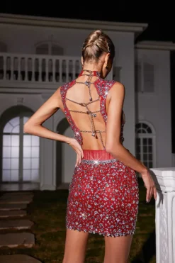 Embellishment*Embellishment Wade Rhinestone Mesh Skirt Set In Red